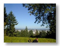 Day after the wedding